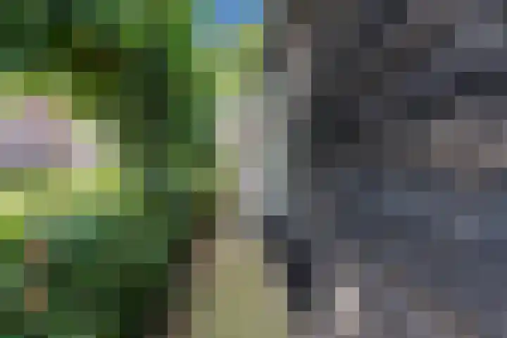 Veneweg 79 Wanneperveen thumbnail 36