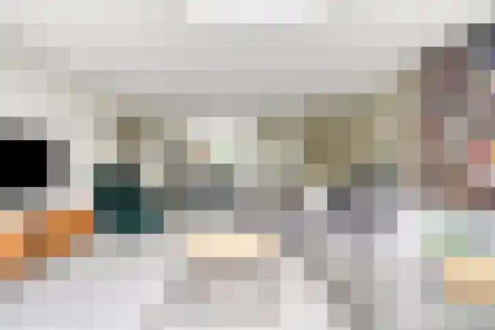 Venezuelastraat 21 Alphen aan den Rijn thumbnail 10