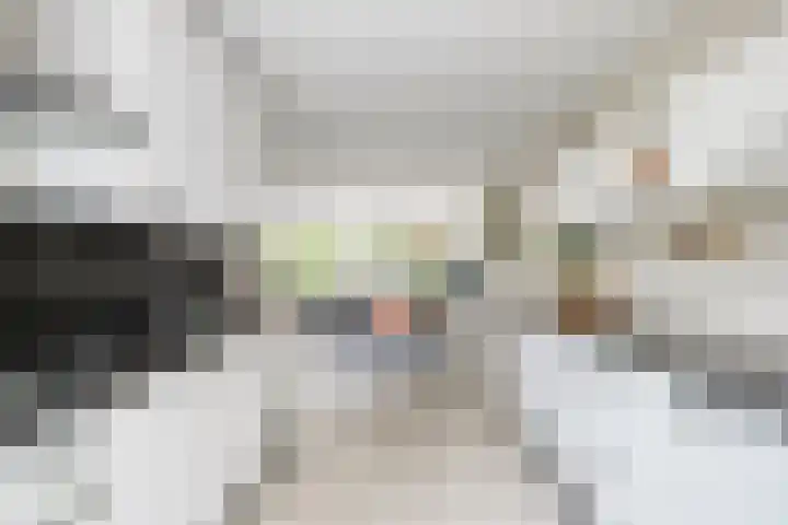 Venezuelastraat 21 Alphen aan den Rijn thumbnail 13