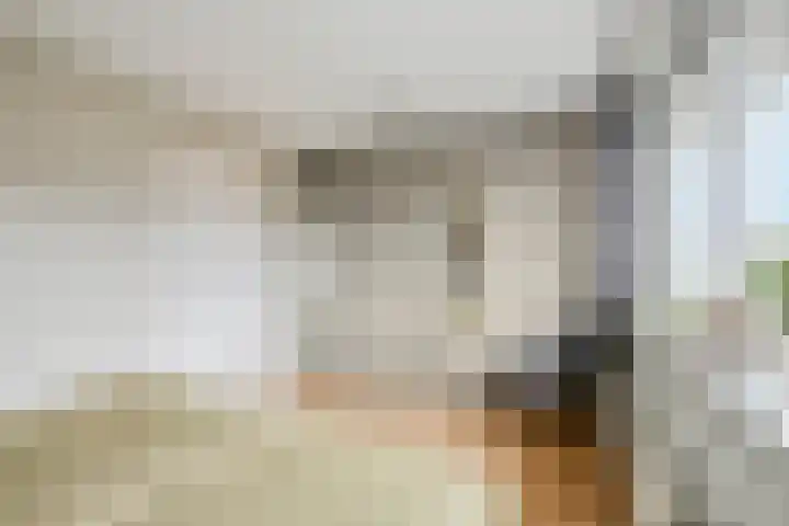 Venezuelastraat 21 Alphen aan den Rijn thumbnail 18