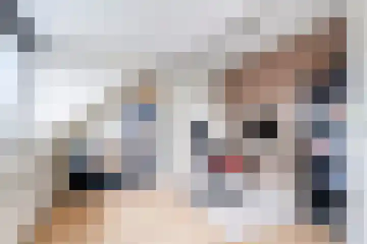 Venezuelastraat 21 Alphen aan den Rijn thumbnail 25