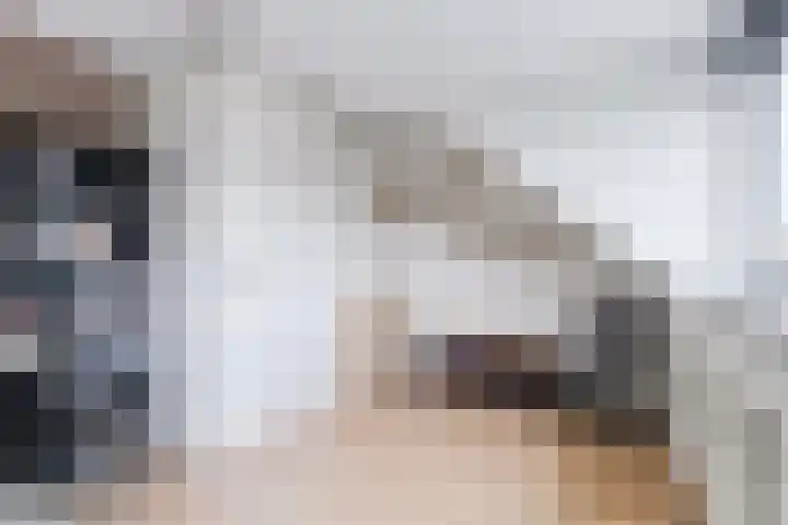 Venezuelastraat 21 Alphen aan den Rijn thumbnail 26