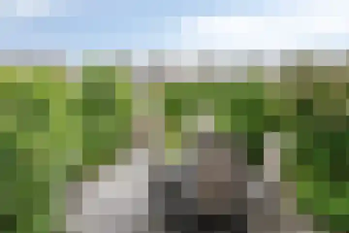 Venezuelastraat 21 Alphen aan den Rijn thumbnail 29