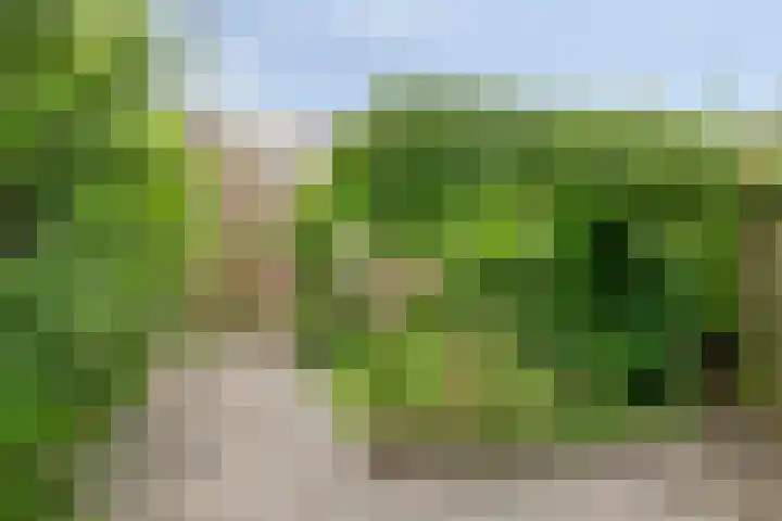 Venezuelastraat 21 Alphen aan den Rijn thumbnail 30