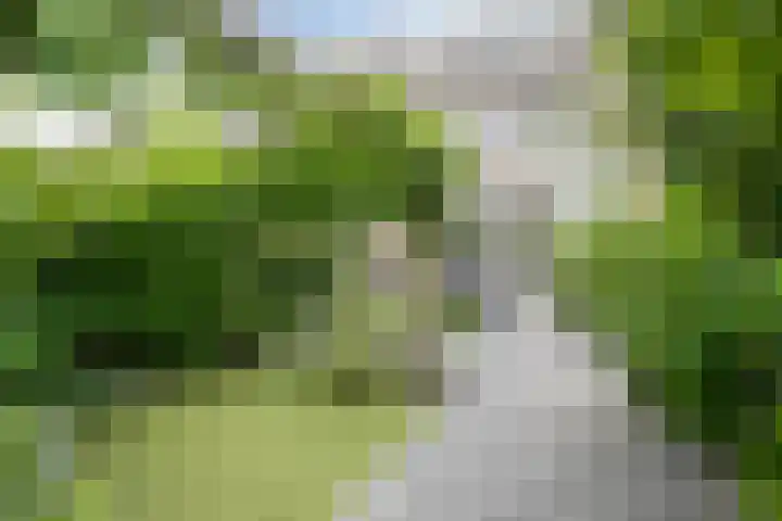 Venezuelastraat 21 Alphen aan den Rijn thumbnail 31
