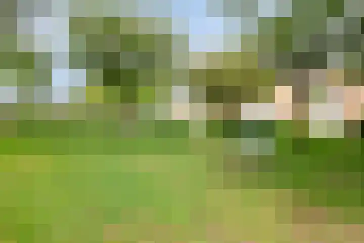 Venezuelastraat 21 Alphen aan den Rijn thumbnail 32
