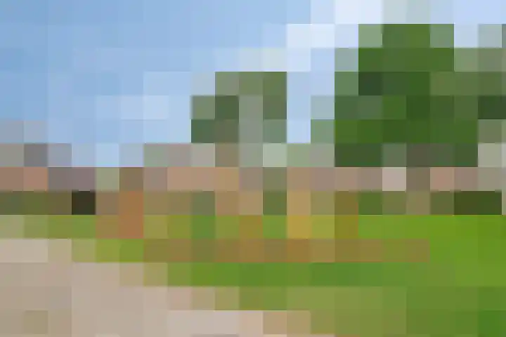 Venezuelastraat 21 Alphen aan den Rijn thumbnail 33