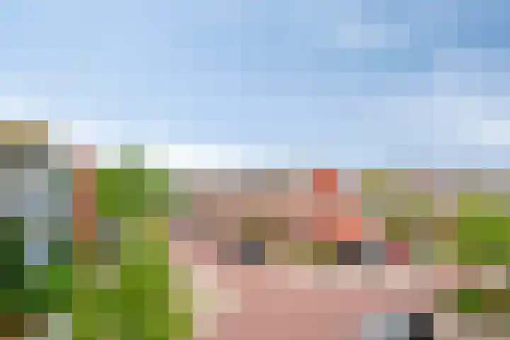 Venezuelastraat 21 Alphen aan den Rijn thumbnail 34