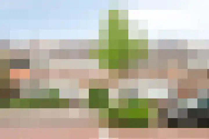 Venezuelastraat 21 Alphen aan den Rijn thumbnail 4