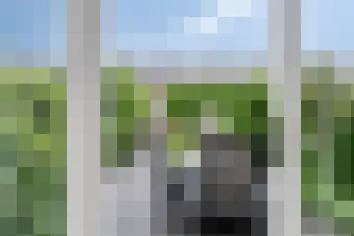 Venezuelastraat 21 Alphen aan den Rijn thumbnail 9