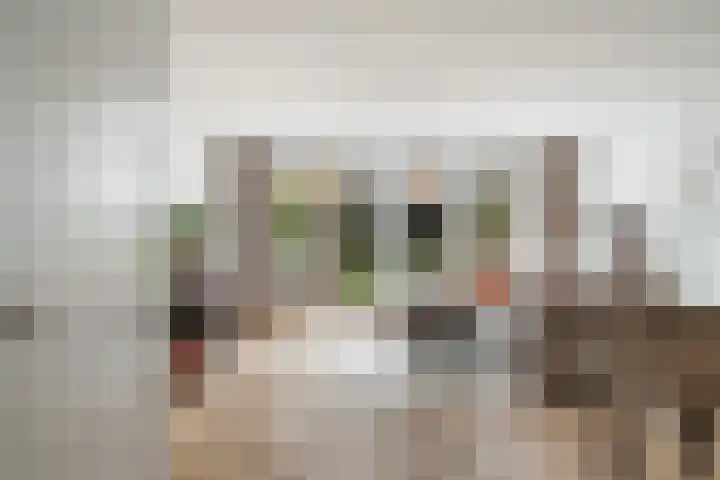 Venezuelastraat 25 Alphen aan den Rijn thumbnail 14
