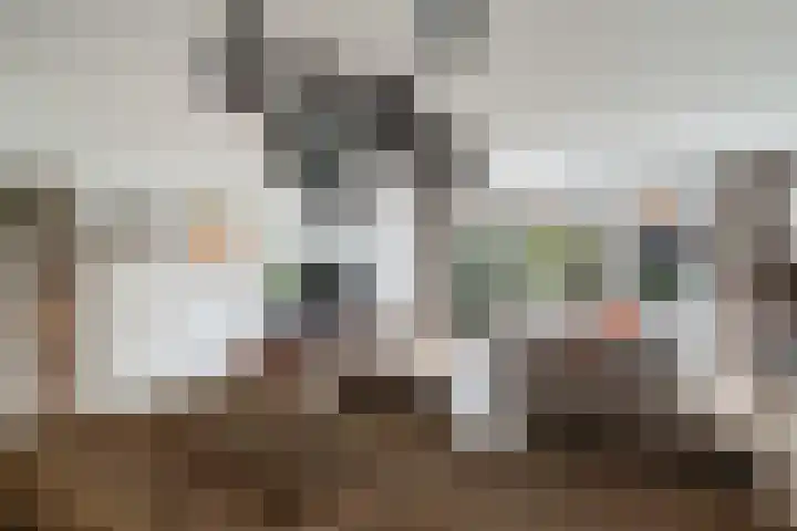 Venezuelastraat 25 Alphen aan den Rijn thumbnail 15