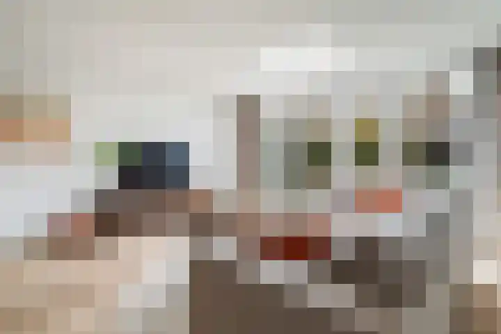 Venezuelastraat 25 Alphen aan den Rijn thumbnail 16