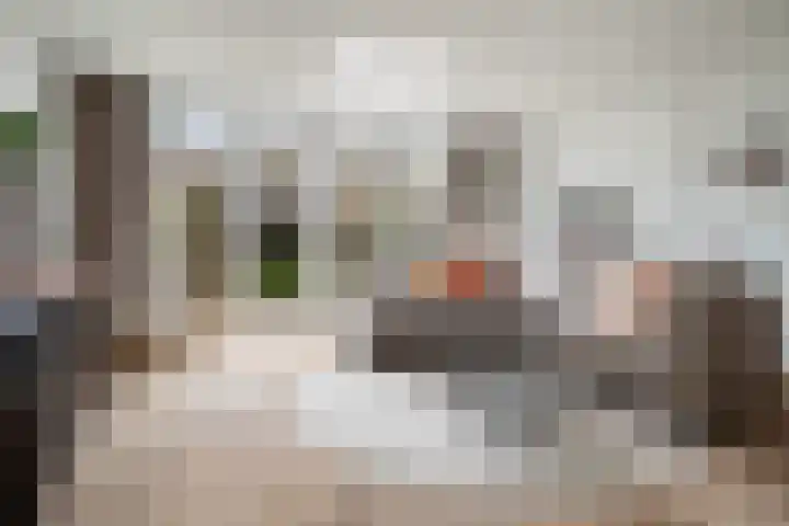 Venezuelastraat 25 Alphen aan den Rijn thumbnail 17