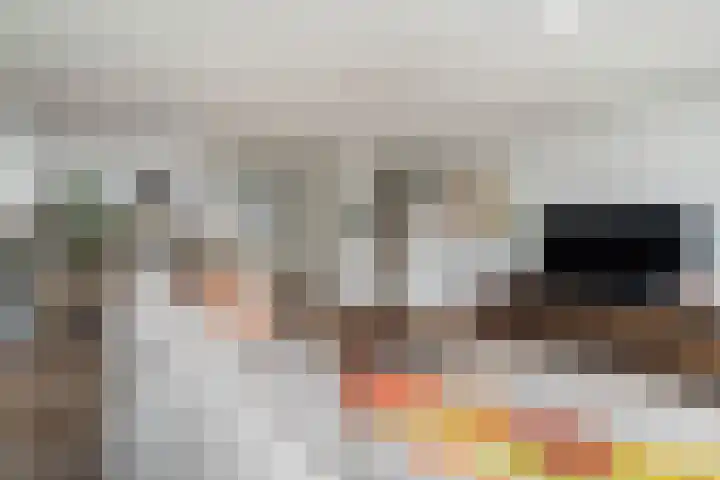 Venezuelastraat 25 Alphen aan den Rijn thumbnail 19