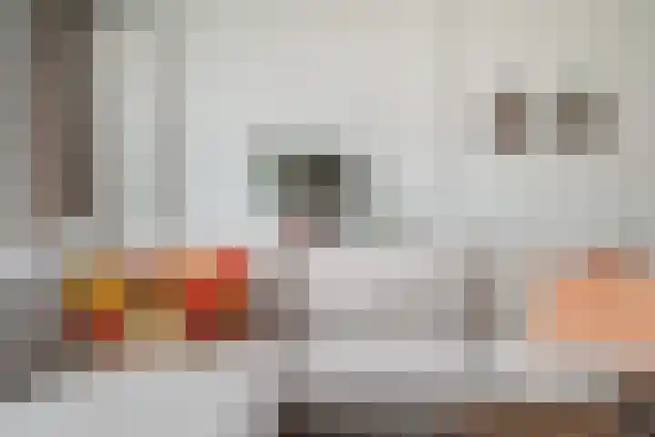 Venezuelastraat 25 Alphen aan den Rijn thumbnail 21