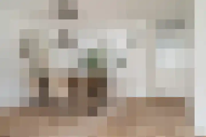 Venezuelastraat 25 Alphen aan den Rijn thumbnail 22