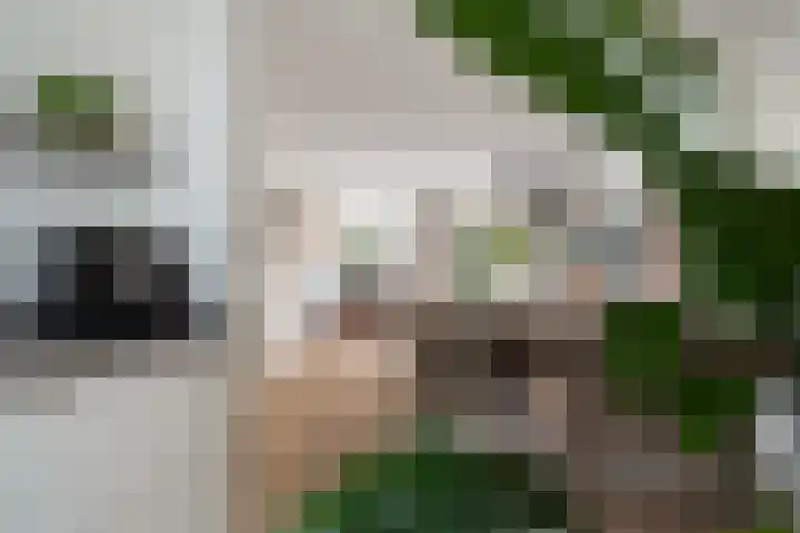 Venezuelastraat 25 Alphen aan den Rijn thumbnail 26