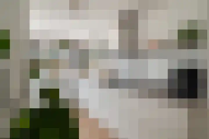Venezuelastraat 25 Alphen aan den Rijn thumbnail 27