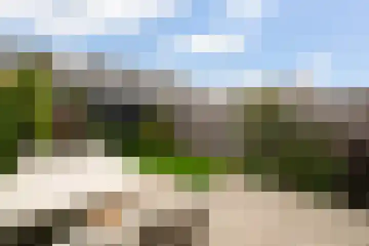 Venezuelastraat 25 Alphen aan den Rijn thumbnail 33