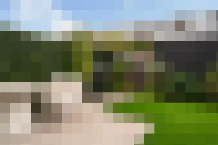 Venezuelastraat 25 Alphen aan den Rijn thumbnail 34