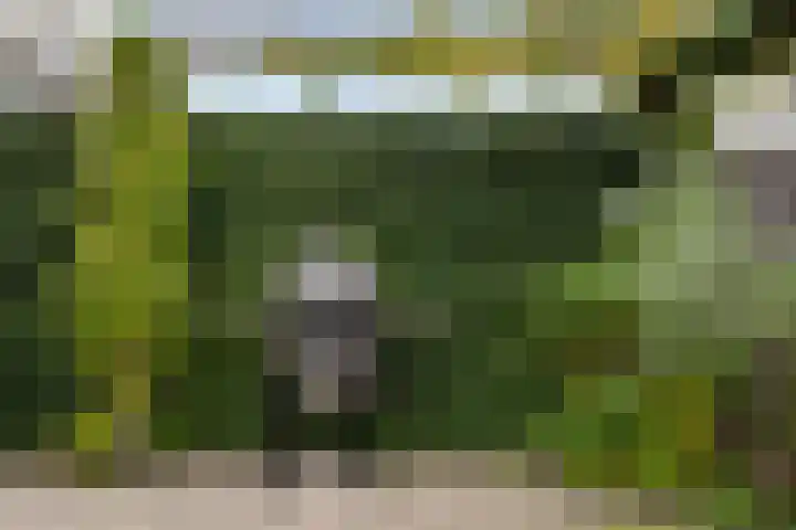 Venezuelastraat 25 Alphen aan den Rijn thumbnail 35