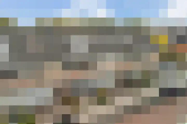 Venezuelastraat 25 Alphen aan den Rijn thumbnail 4