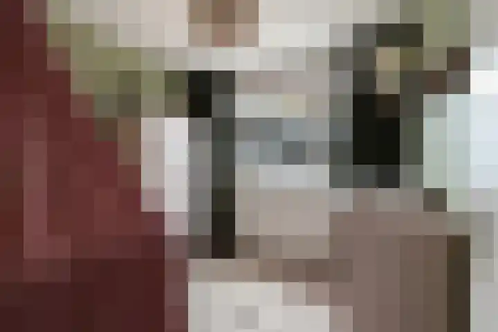 Venezuelastraat 25 Alphen aan den Rijn thumbnail 44