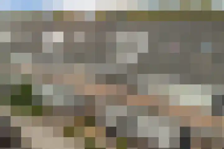 Venezuelastraat 25 Alphen aan den Rijn thumbnail 5