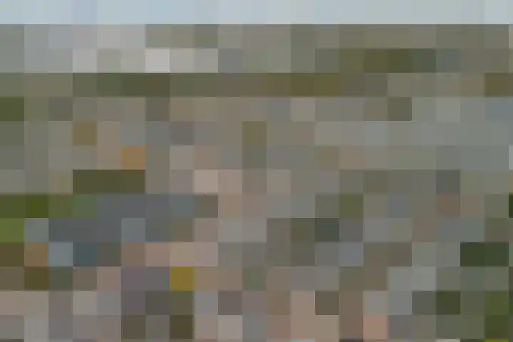 Venezuelastraat 25 Alphen aan den Rijn thumbnail 55