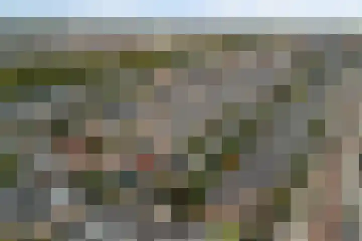 Venezuelastraat 25 Alphen aan den Rijn thumbnail 57