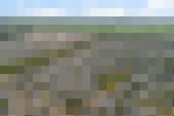 Venezuelastraat 25 Alphen aan den Rijn thumbnail 59