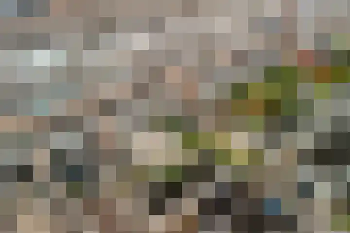 Venezuelastraat 25 Alphen aan den Rijn thumbnail 6