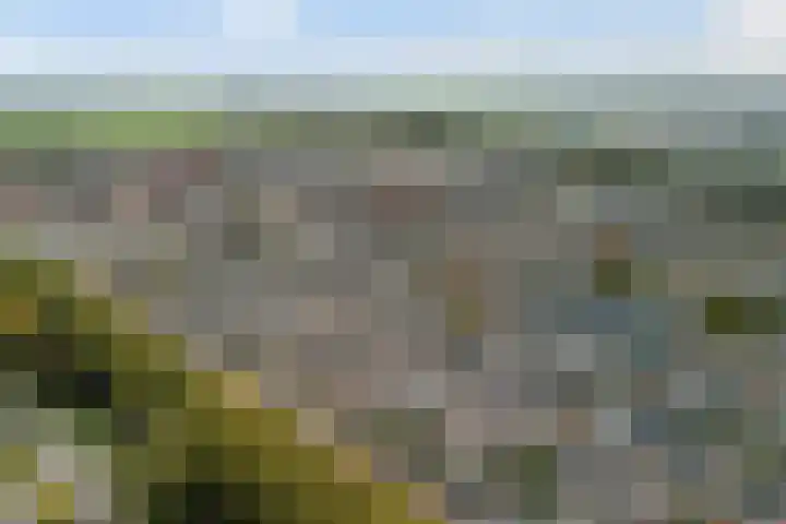 Venezuelastraat 25 Alphen aan den Rijn thumbnail 60