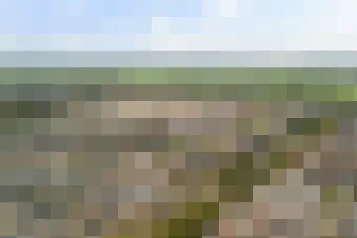 Venezuelastraat 25 Alphen aan den Rijn thumbnail 61