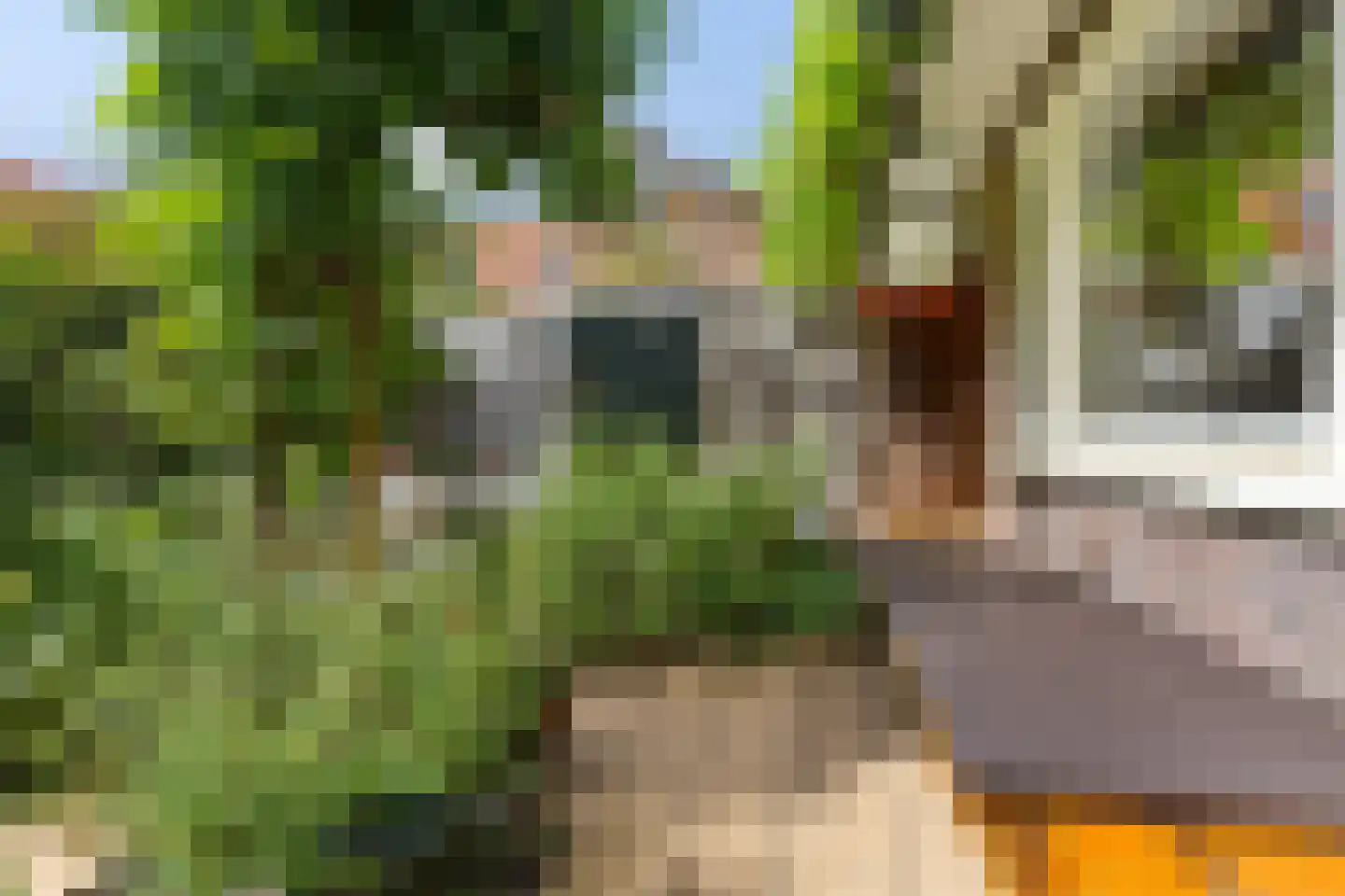 Venhuizenstraat 9 Amsterdam thumbnail 21