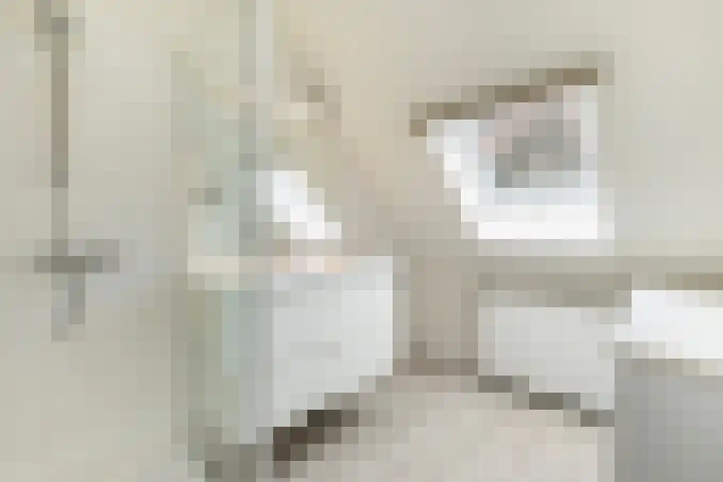 Venkel 1 Dronten thumbnail 14