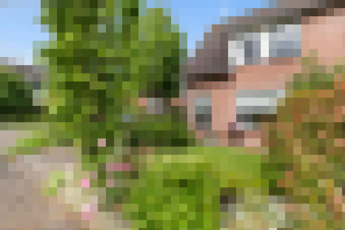 Venkel 1 Dronten thumbnail 22