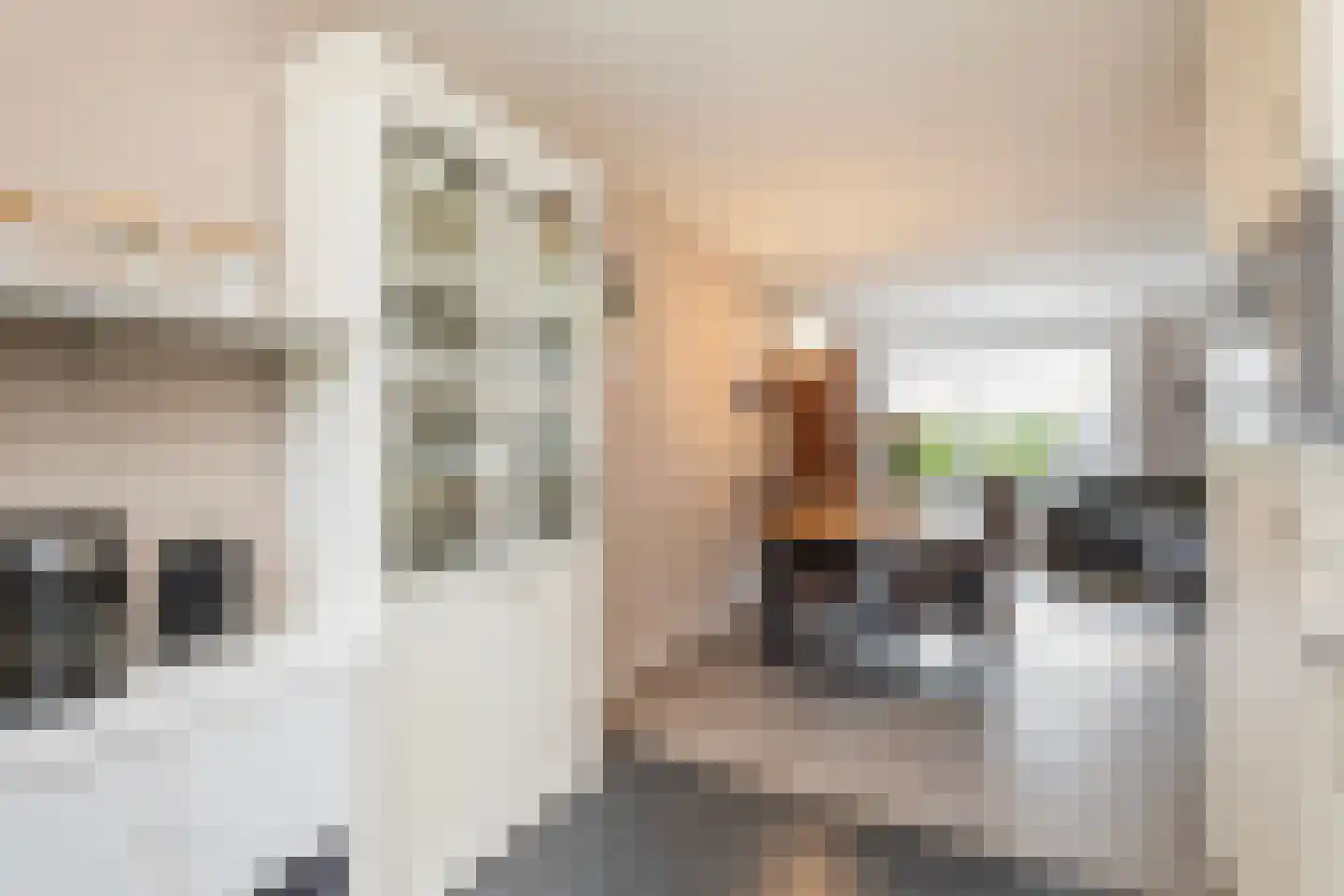 Venkel 1 Dronten thumbnail 7