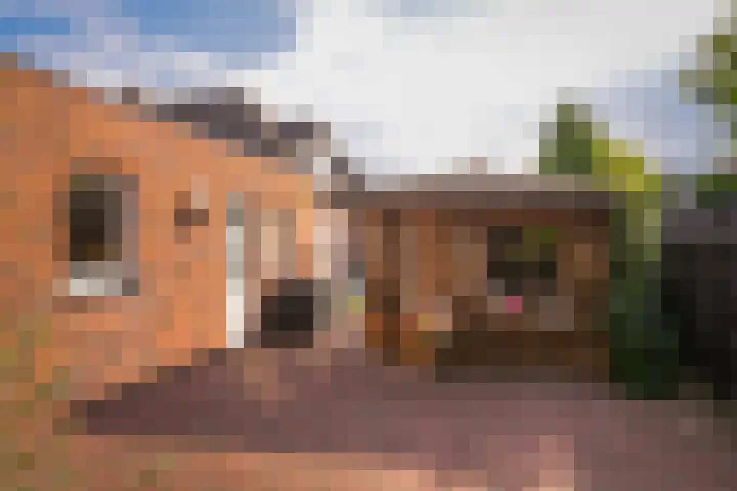 Venkel 11 Kerkdriel thumbnail 33