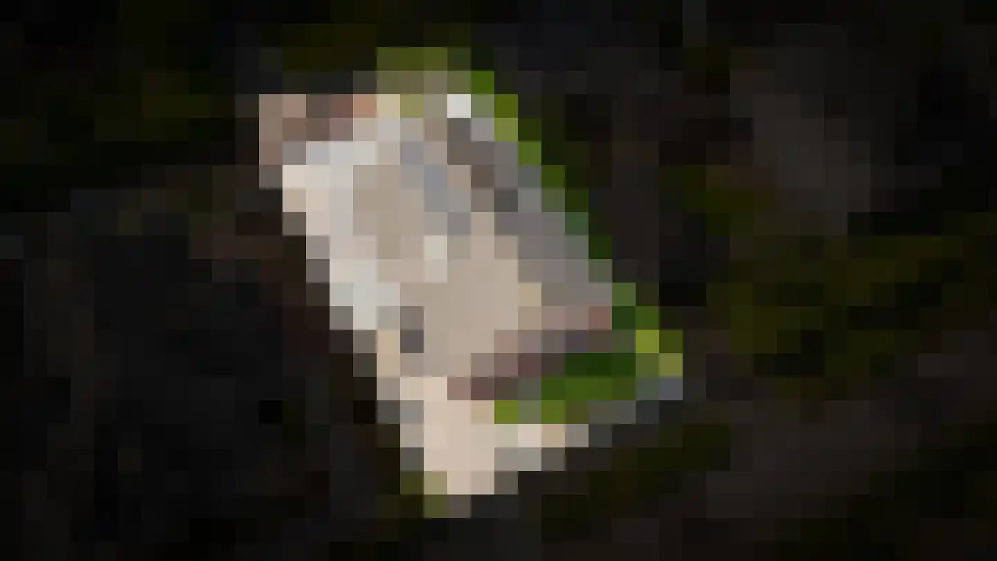 Venkel 11 Kerkdriel thumbnail 4