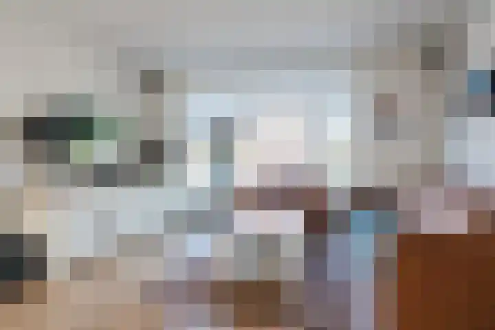 Venkel 12 Geldrop thumbnail 4