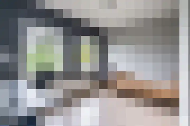 Venkel 14 Geldrop thumbnail 18