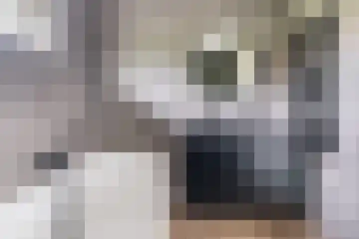 Venkel 14 Geldrop thumbnail 21