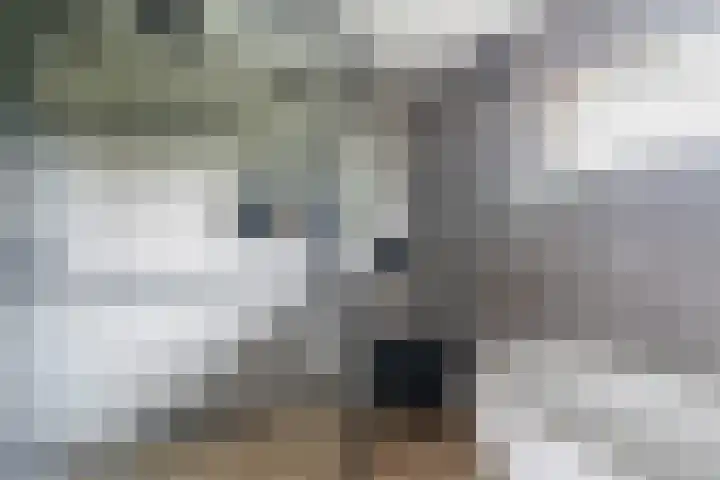 Venkel 14 Geldrop thumbnail 22
