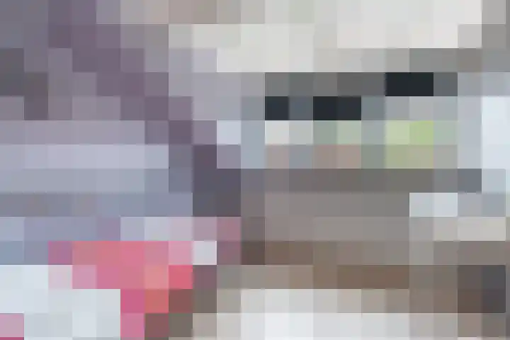 Venkel 14 Geldrop thumbnail 24