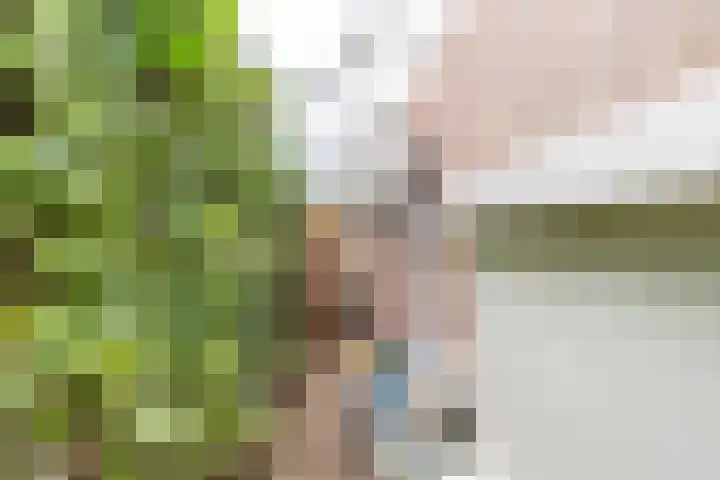 Venkel 14 Geldrop thumbnail 30