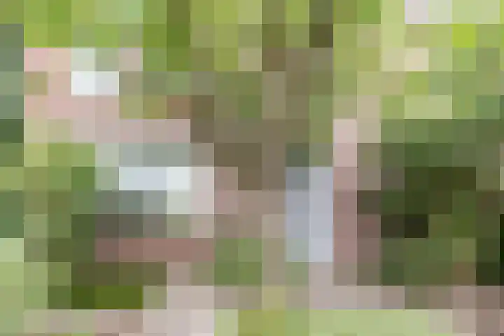 Venkel 14 Geldrop thumbnail 5