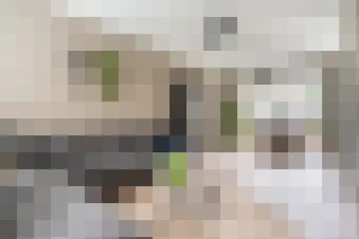 Venkel 14 Geldrop thumbnail 7