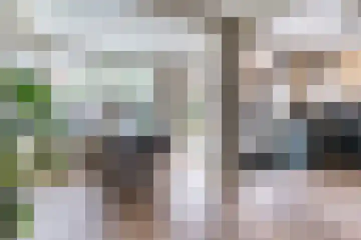 Venkel 14 Geldrop thumbnail 9